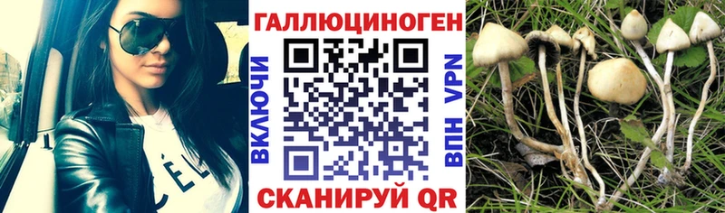 Псилоцибиновые грибы прущие грибы  Купить  Шуя 