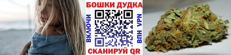 Бошки марихуана планчик  Купить  Шуя 